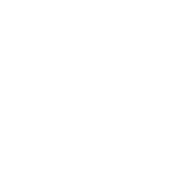 Barbecue icon